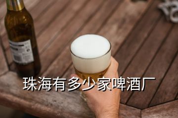 珠海有多少家啤酒廠