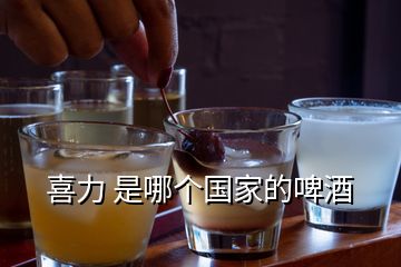 喜力 是哪個(gè)國(guó)家的啤酒