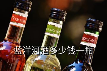 藍洋河酒多少錢一瓶