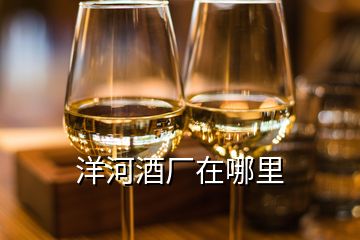 洋河酒廠在哪里