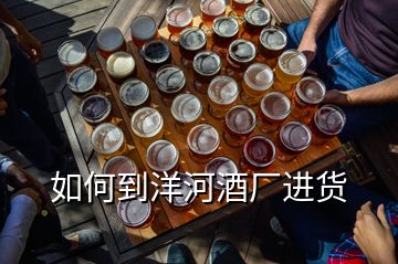 如何到洋河酒廠進(jìn)貨