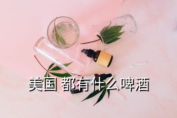 美國 都有什么啤酒