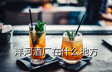 洋河酒廠在什么地方