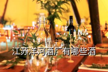 江蘇洋河酒廠有哪些酒