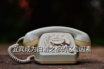 宜賓成為白酒之都的區(qū)位因素