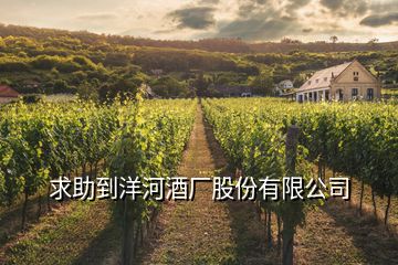 求助到洋河酒廠股份有限公司