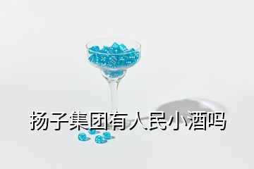 揚子集團有人民小酒嗎