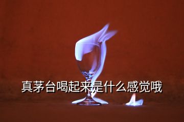 真茅臺(tái)喝起來(lái)是什么感覺哦