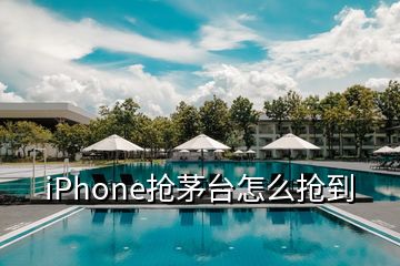 iPhone搶茅臺(tái)怎么搶到