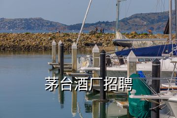 茅臺酒廠招聘