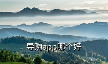 導購app哪個好