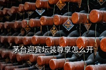 茅臺(tái)迎賓壇裝尊享怎么開