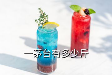 一茅臺(tái)有多少斤