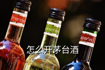 怎么開茅臺酒