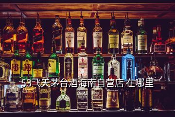 53飛天茅臺(tái)酒海南自營店 在哪里