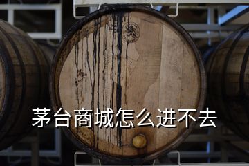 茅臺商城怎么進不去