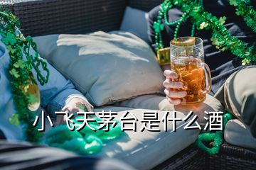 小飛天茅臺(tái)是什么酒