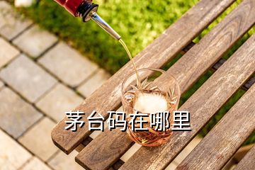 茅臺(tái)碼在哪里