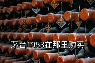 茅臺1953在那里購買