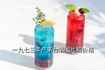 一九七三年產(chǎn)茅臺(tái)酒圖片和價(jià)格