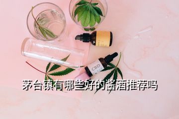 茅臺鎮(zhèn)有哪些好的醬酒推薦嗎