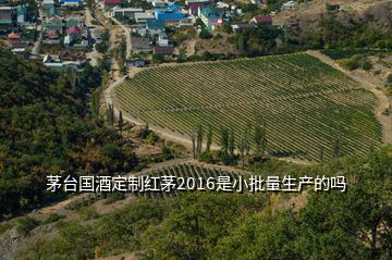 茅臺(tái)國酒定制紅茅2016是小批量生產(chǎn)的嗎