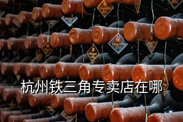 杭州鐵三角專(zhuān)賣(mài)店在哪