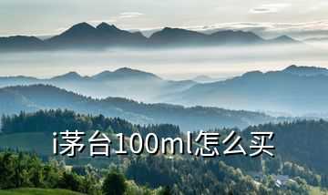 i茅臺100ml怎么買