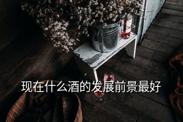 現(xiàn)在什么酒的發(fā)展前景最好