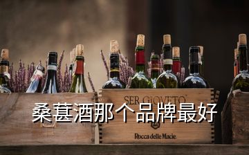 桑葚酒那個品牌最好