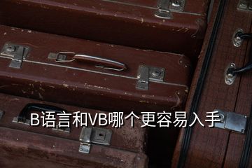 B語言和VB哪個(gè)更容易入手