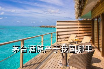 茅臺(tái)酒原產(chǎn)于我國(guó)哪里