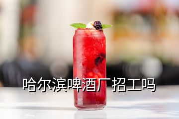 哈爾濱啤酒廠招工嗎