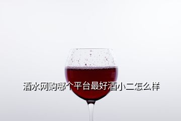 酒水網(wǎng)購哪個平臺最好酒小二怎么樣