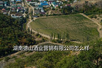 湖南德山酒業(yè)營銷有限公司怎么樣