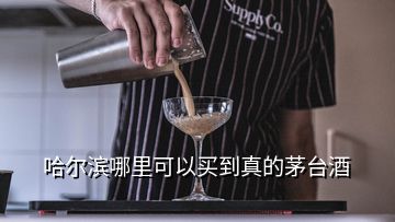 哈爾濱哪里可以買到真的茅臺酒