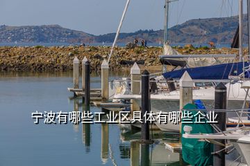 寧波有哪些工業(yè)區(qū)具體有哪些企業(yè)