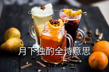 月下獨酌全詩意思