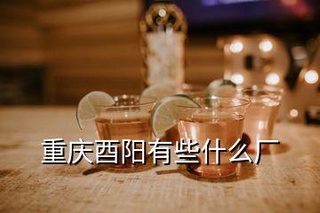 重慶酉陽(yáng)有些什么廠