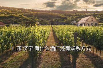 山東 濟寧 有什么酒廠還有聯(lián)系方式