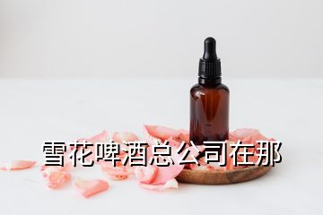 雪花啤酒總公司在那