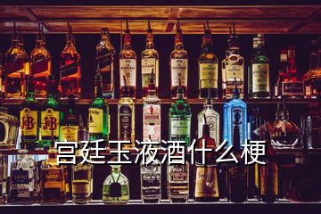 宮廷玉液酒什么梗