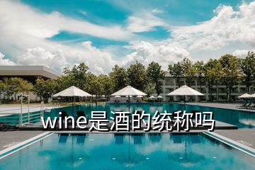 wine是酒的統(tǒng)稱嗎