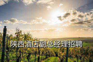 陜西酒店副總經(jīng)理招聘