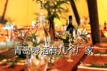 青島啤酒有幾個廠家