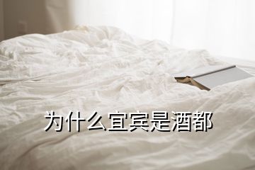 為什么宜賓是酒都