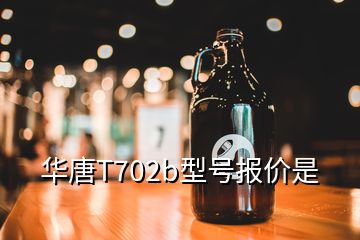 華唐T702b型號報價是