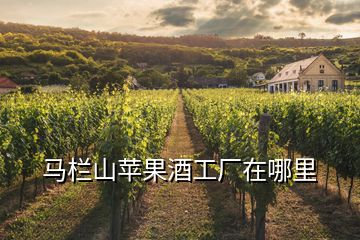 馬欄山蘋果酒工廠在哪里