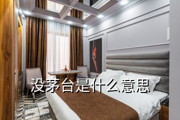 沒茅臺是什么意思