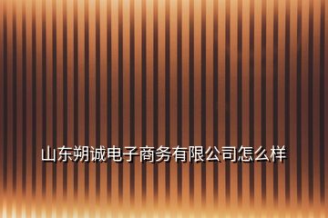 山東朔誠電子商務有限公司怎么樣